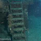 ...e scalette colonizzati da cozze e ostriche giganti